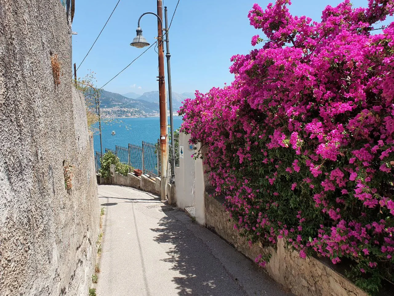 Bougainvillea-lined path in Cetara